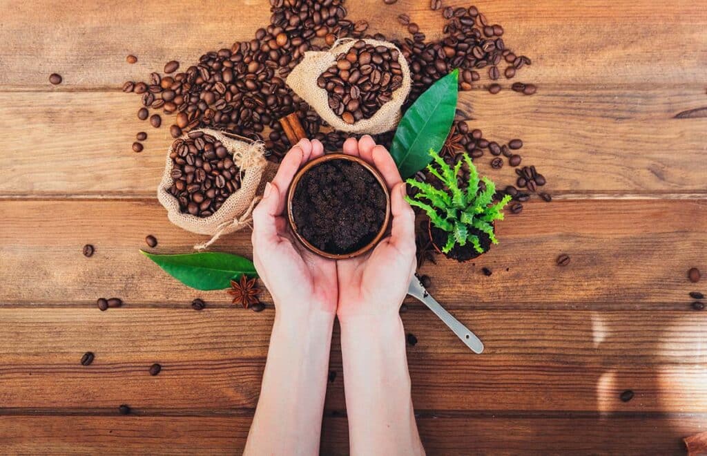 How To Use Coffee Grounds in your garden