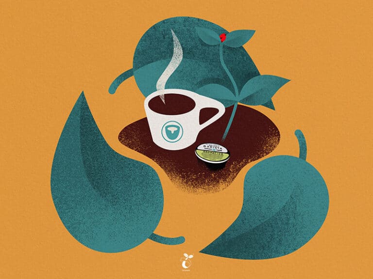Compostable temp 800px